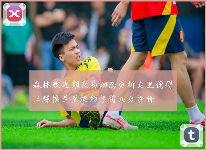 森林狼近期交易动态分析走里德得三球换兰豆续约值得几分评价